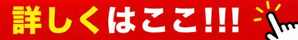 詳しくはここ!!!