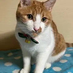 むむ