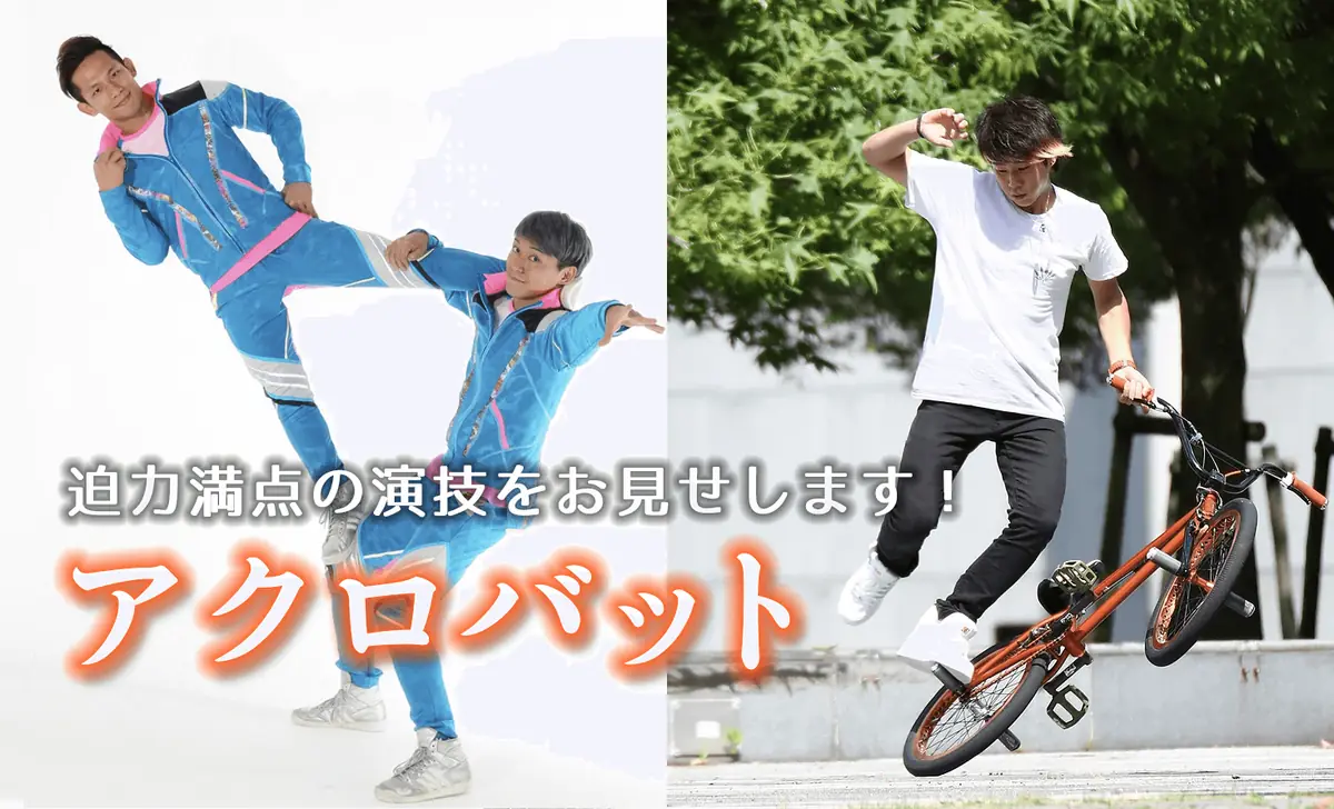 アクロバット・エアリアル